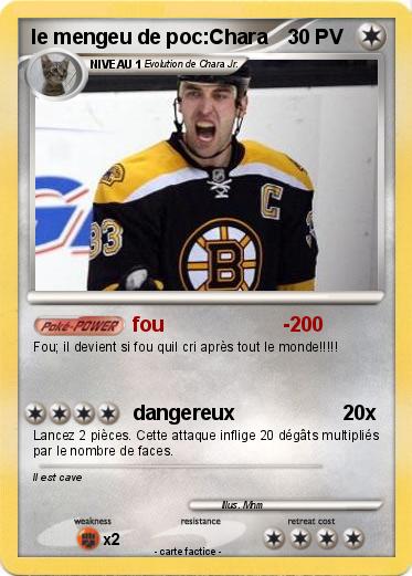 Pokemon le mengeu de poc:Chara