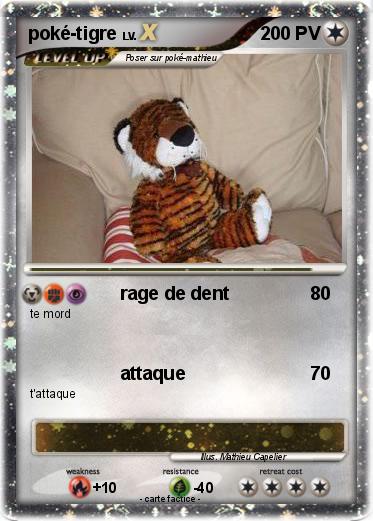 Pokemon poké-tigre