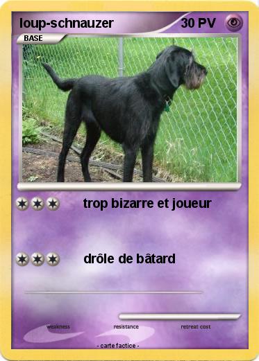 Pokemon loup-schnauzer