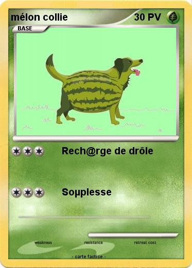 Pokemon mélon collie