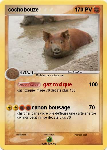 Pokemon cochobouze