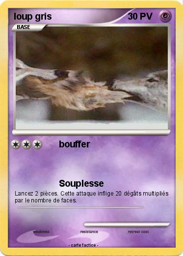 Pokemon loup gris