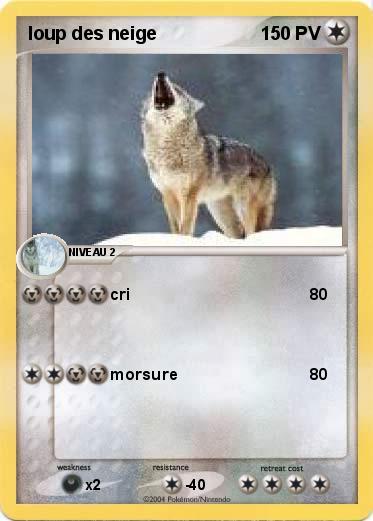 Pokemon loup des neige