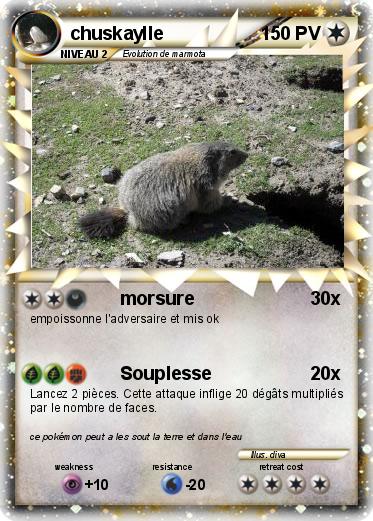 Pokemon chuskaylle