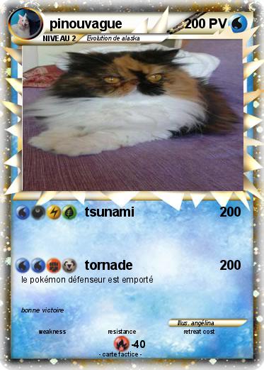 Pokemon pinouvague