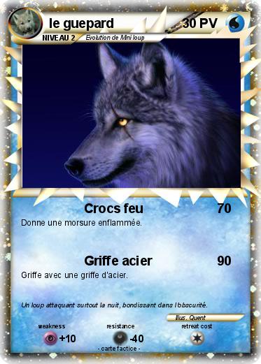 Pokemon le guepard