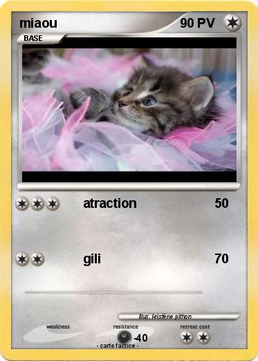Pokemon miaou