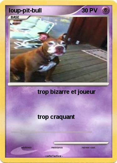 Pokemon loup-pit-bull