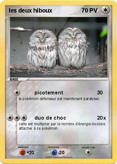 Pokemon les deux hiboux