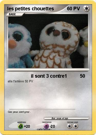 Pokemon les petites chouettes