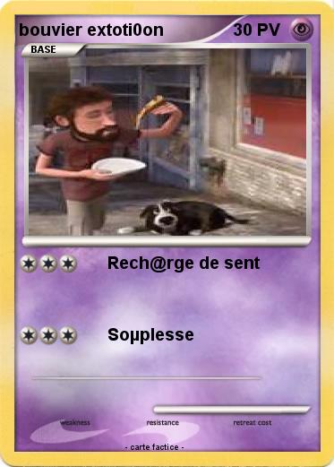Pokemon bouvier extoti0on