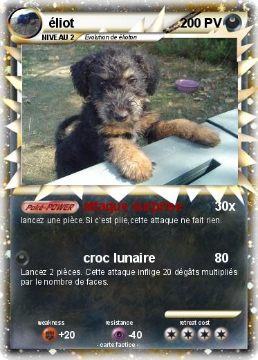 Pokemon éliot