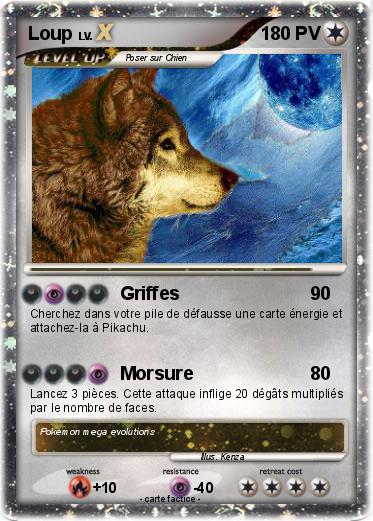 Pokemon Loup