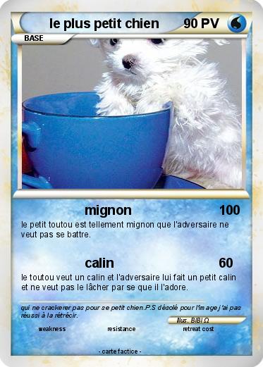 Pokemon Le Plus Petit Chien