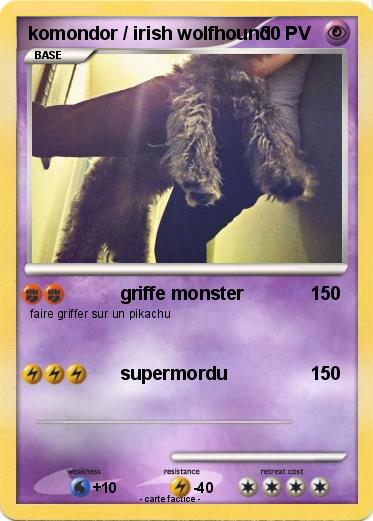 Pokemon komondor / irish wolfhound