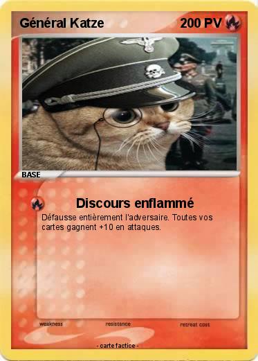 Pokemon Général Katze