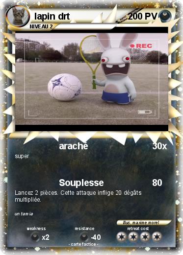 Pokemon lapin drt