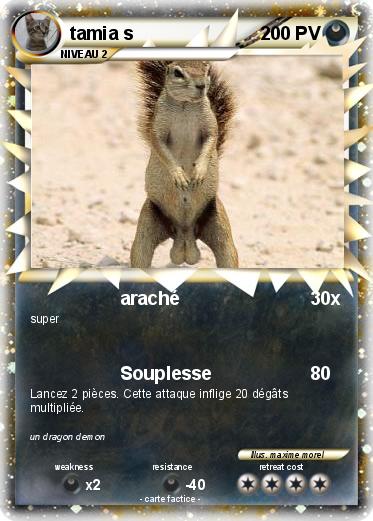 Pokemon tamia s