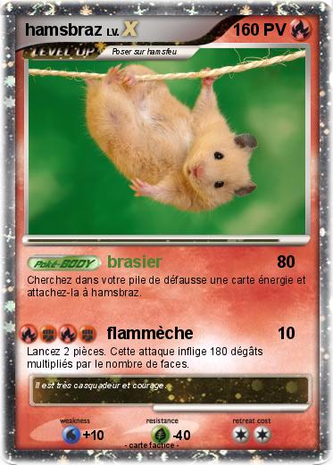 Pokemon hamsbraz