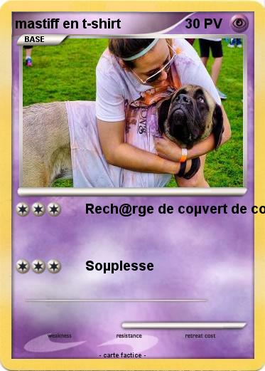 Pokemon mastiff en t-shirt