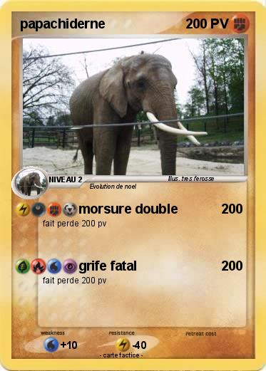Pokemon papachiderne