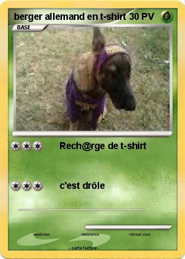 Pokemon berger allemand en t-shirt
