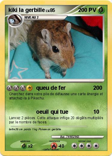 Pokemon kiki la gerbille