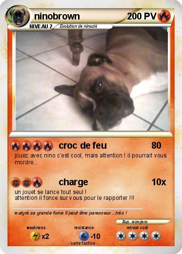 Pokemon ninobrown