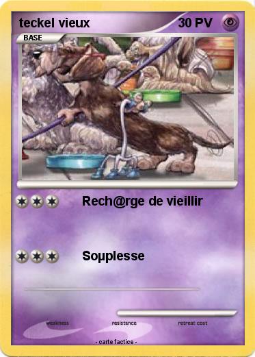 Pokemon teckel vieux