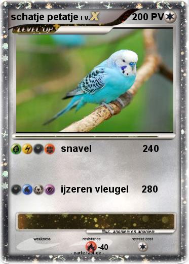 Pokemon schatje petatje