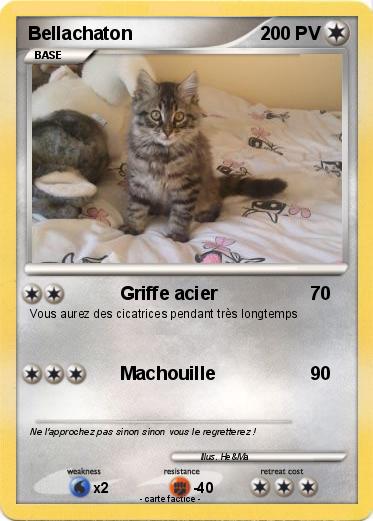 Pokemon Bellachaton