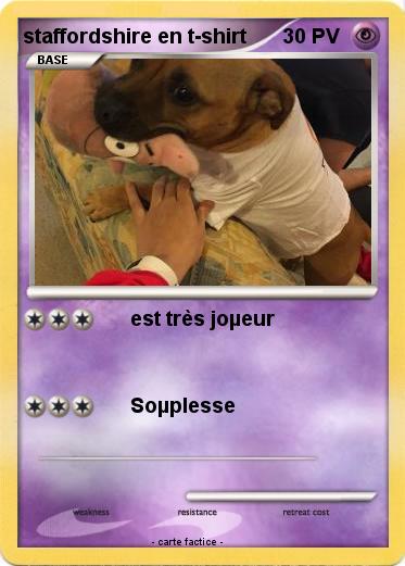Pokemon staffordshire en t-shirt