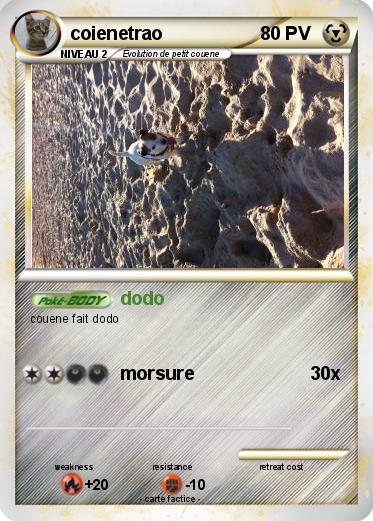 Pokemon coienetrao