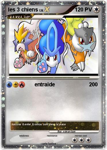 Pokemon les 3 chiens