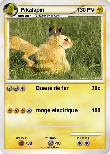 Pokemon Pikalapin