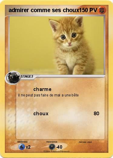 Pokemon admirer comme ses choux
