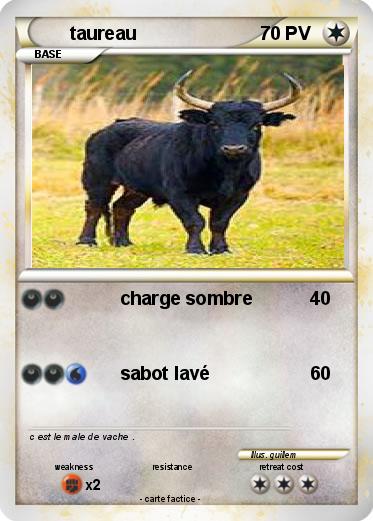 Pokemon taureau