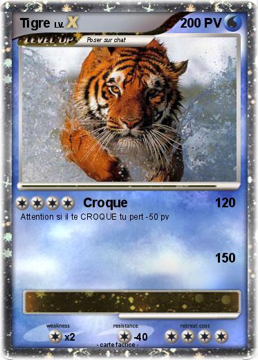 Pokemon Tigre