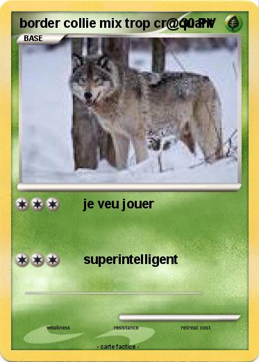 Pokemon border collie mix trop cr@quant