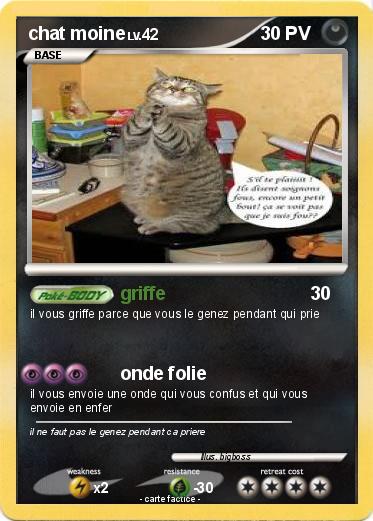 Pokemon chat moine