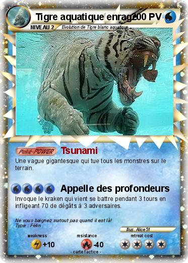 Pokemon Tigre aquatique enragé