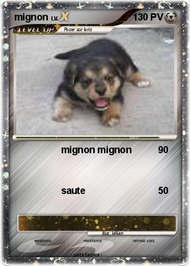 Pokemon mignon