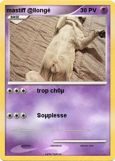 Pokemon mastiff @llongé