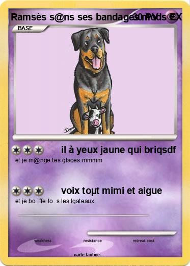 Pokemon Ramsès s@ns ses bandages mods EX