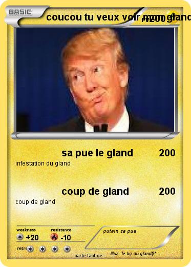 Pokemon coucou tu veux voir mon gland