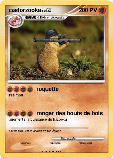 Pokemon castorzooka