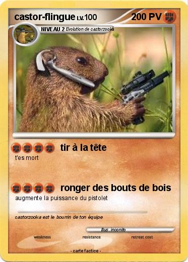 Pokemon castor-flingue
