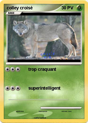 Pokemon colley croisé