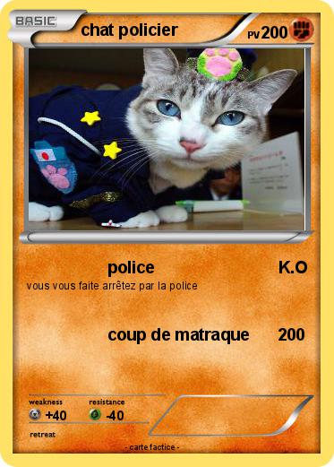Pokemon chat policier