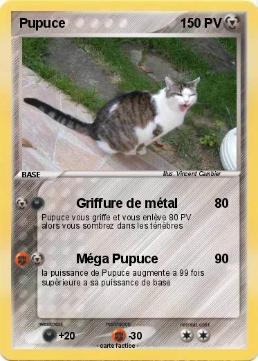Pokemon Pupuce